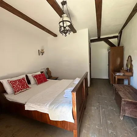 Castle View Saschiz - Traditional Guesthouse Exterior photo