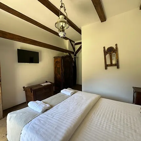 Castle View Saschiz - Traditional Guesthouse Exterior photo