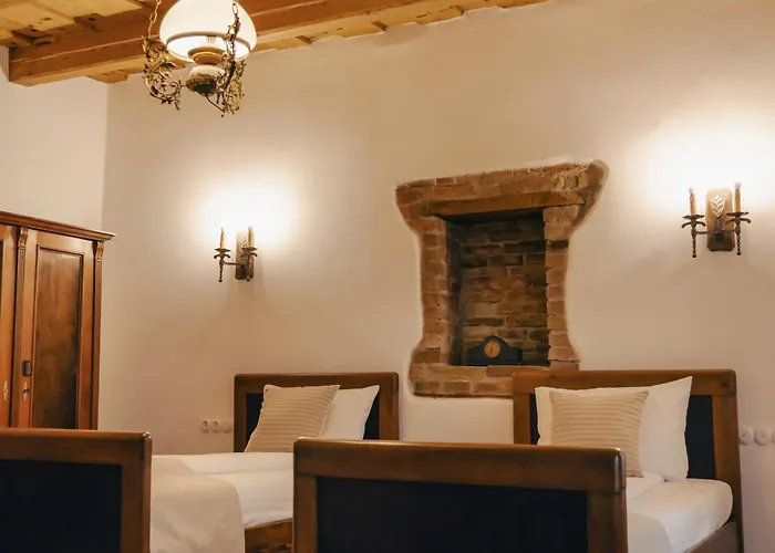 Castle View Saschiz - Traditional Guesthouse