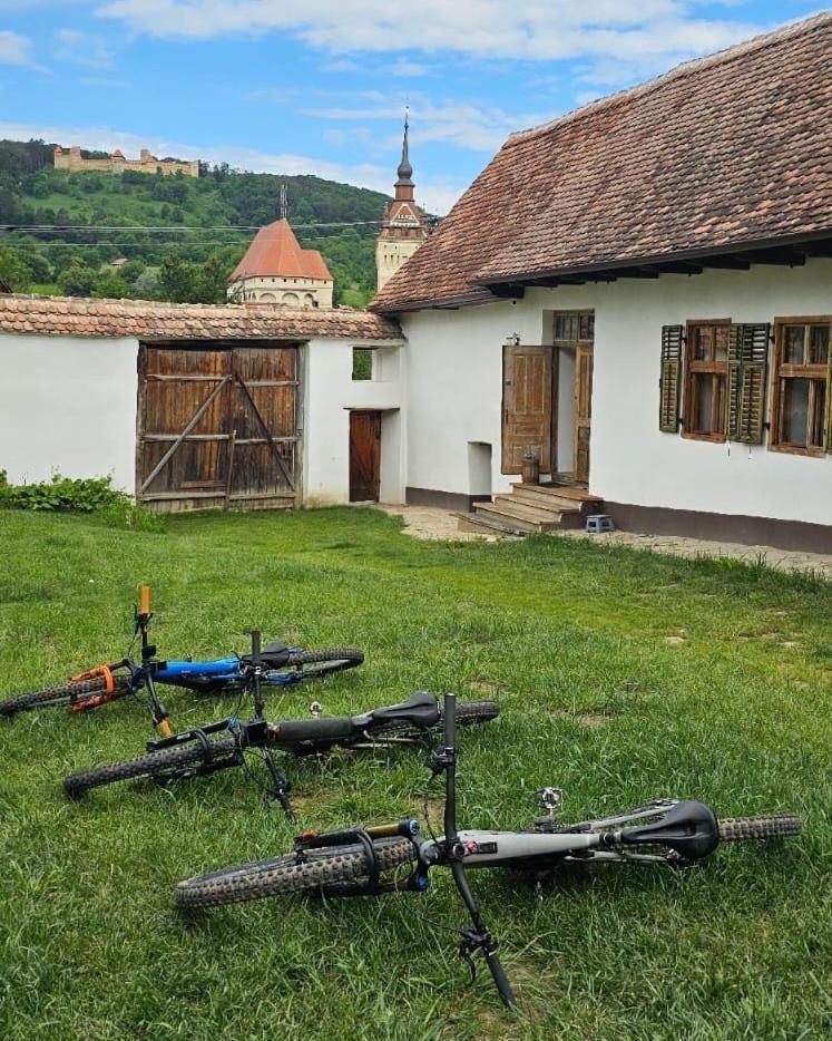 Castle View - Traditional * Saschiz